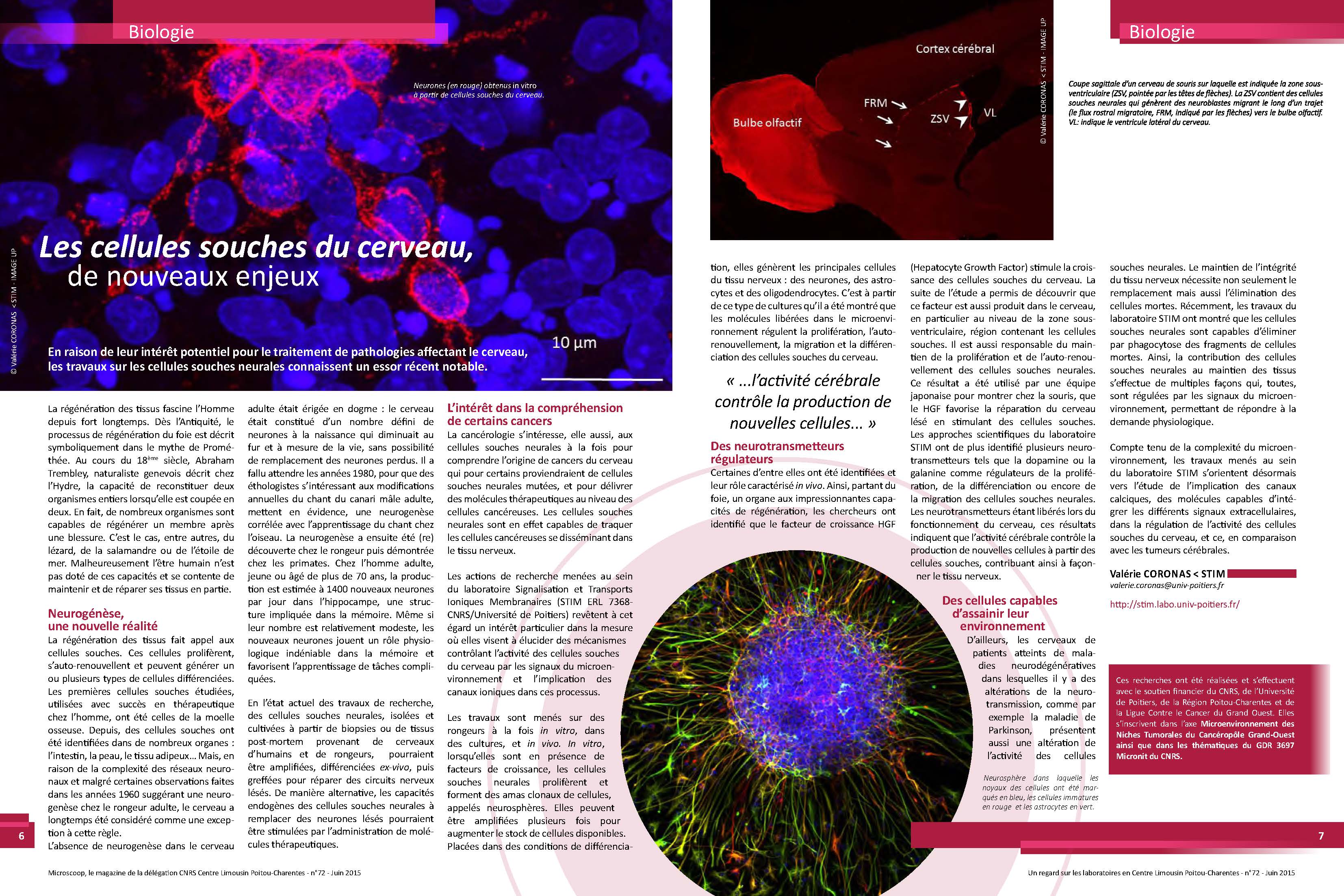 Microscoop72_Page_2